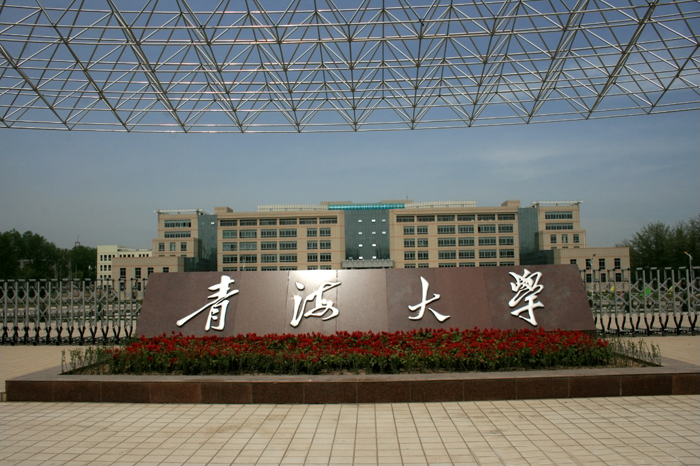 青海大學(xué)圖書館項目